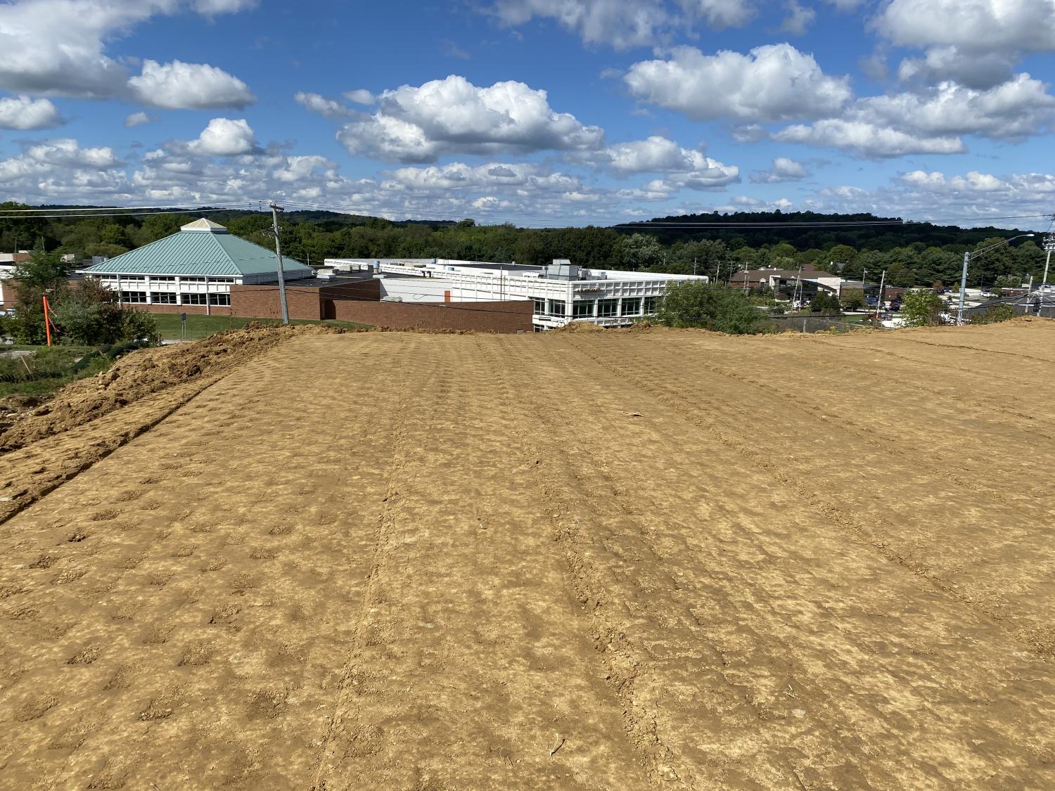 Charles Schwab site flat dirt