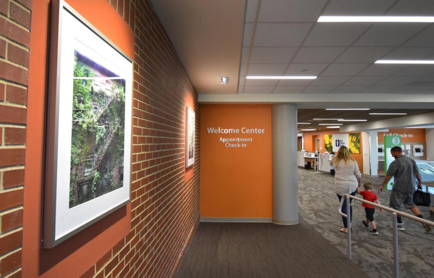 wall