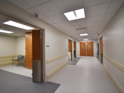 Summa Neurology Diagnostics Suite